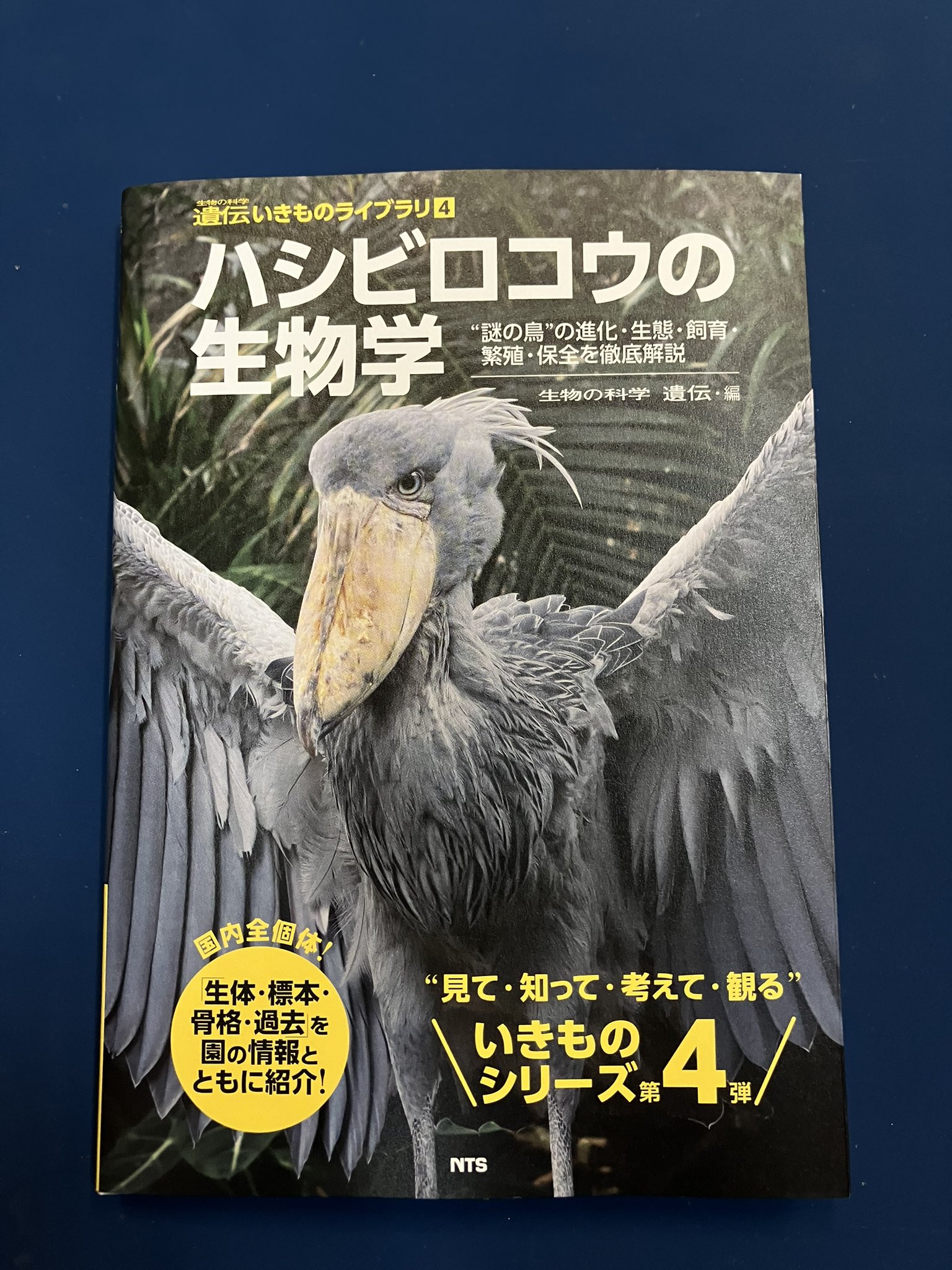原画 鳥 ハシビロコウ #133 我孫子市鳥の博物館 on X: 