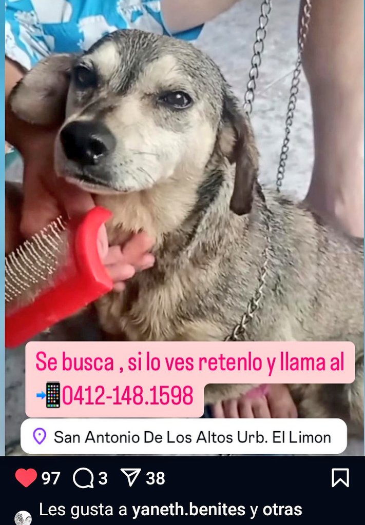 Mary_Jar's tweet photo. #Difundo #Atención mi gente de San Antonio de Los Altos y zonas adyacentes... pendiente por favor. Si lo ven, se agradece resguardo.
Gracias a todos por sus RP
@PerroUsuario @glenda_morales https://t.co/TTXSN1J2ky