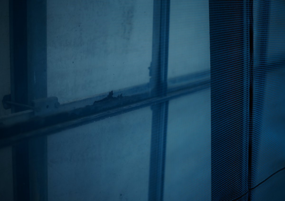 tune_h's tweet image. タクマーさんぽ＠秋深む
#SIGMA 
#SIGMAfpL
#takumar
#autotakumar55mmf18