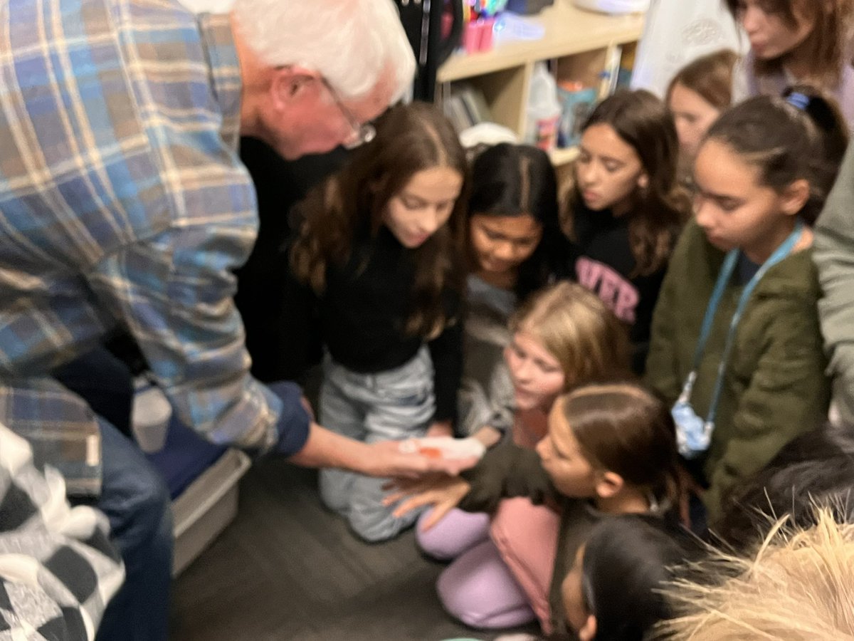 clstward1's tweet image. They’re here! @EPIC_academics #4thgrade welcome @CaliforniaDFW #CAEP Chinook Salmon eggs! @gcc_jsample #gccLevelUp