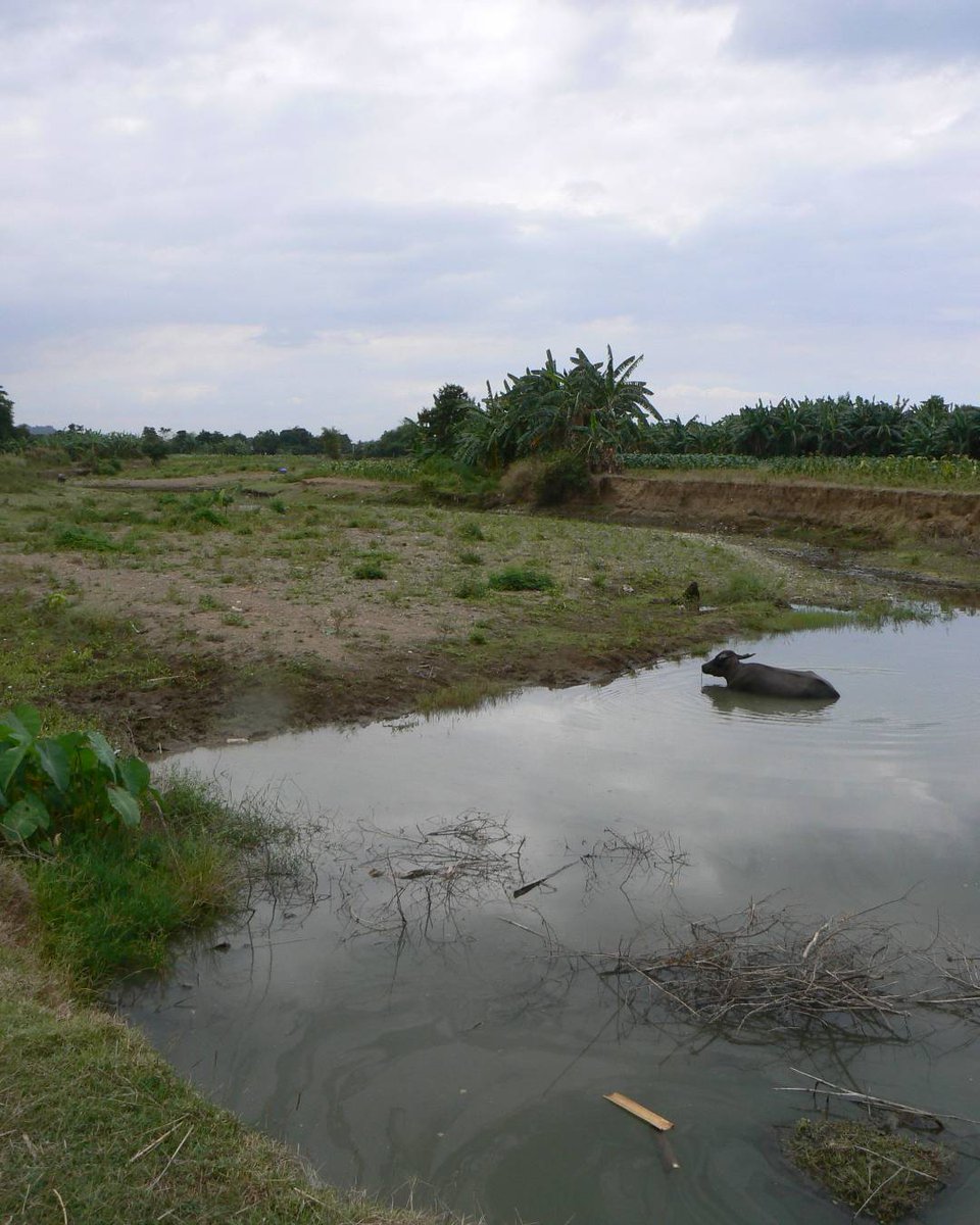 HealthUNE tweet media