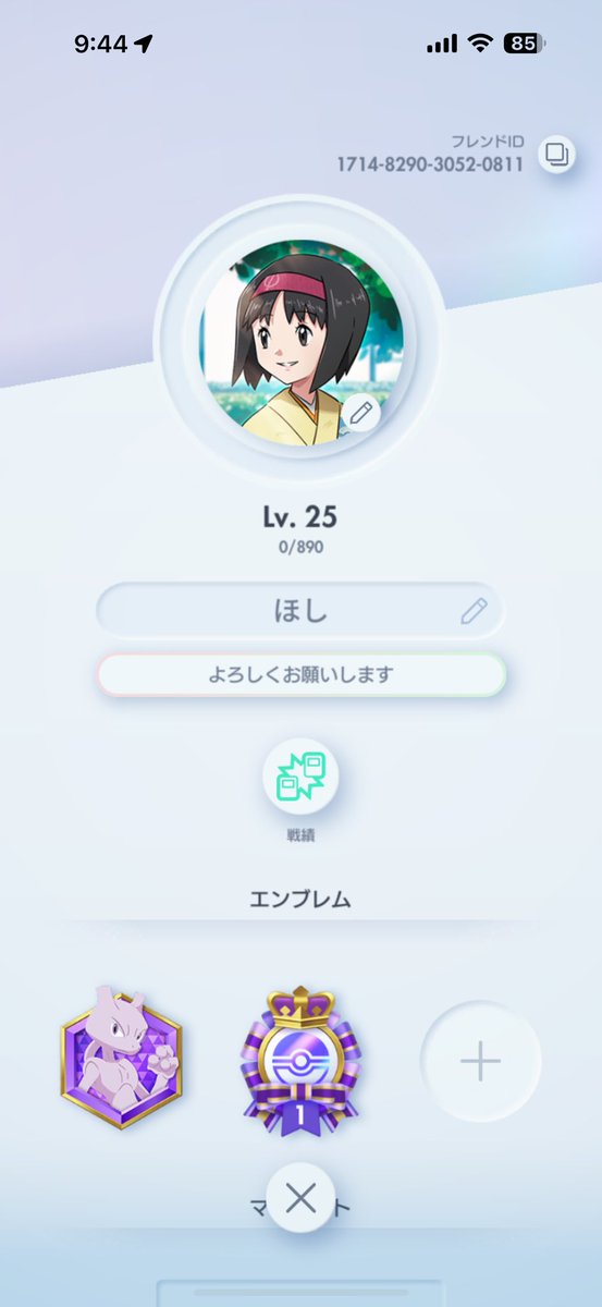 ポケモンしかやってないって。