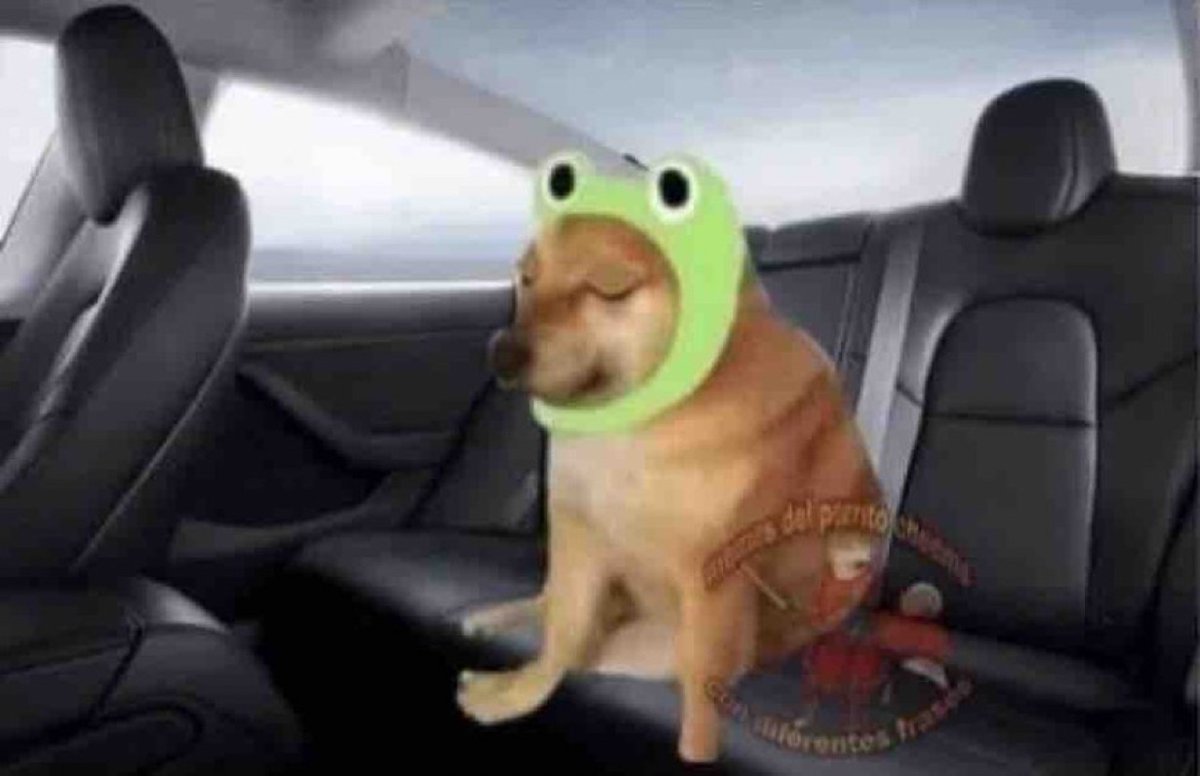 Yo de 5 años cerrando los ojos en el carro camino a casa a ver si adivinaba por dónde íbamos.