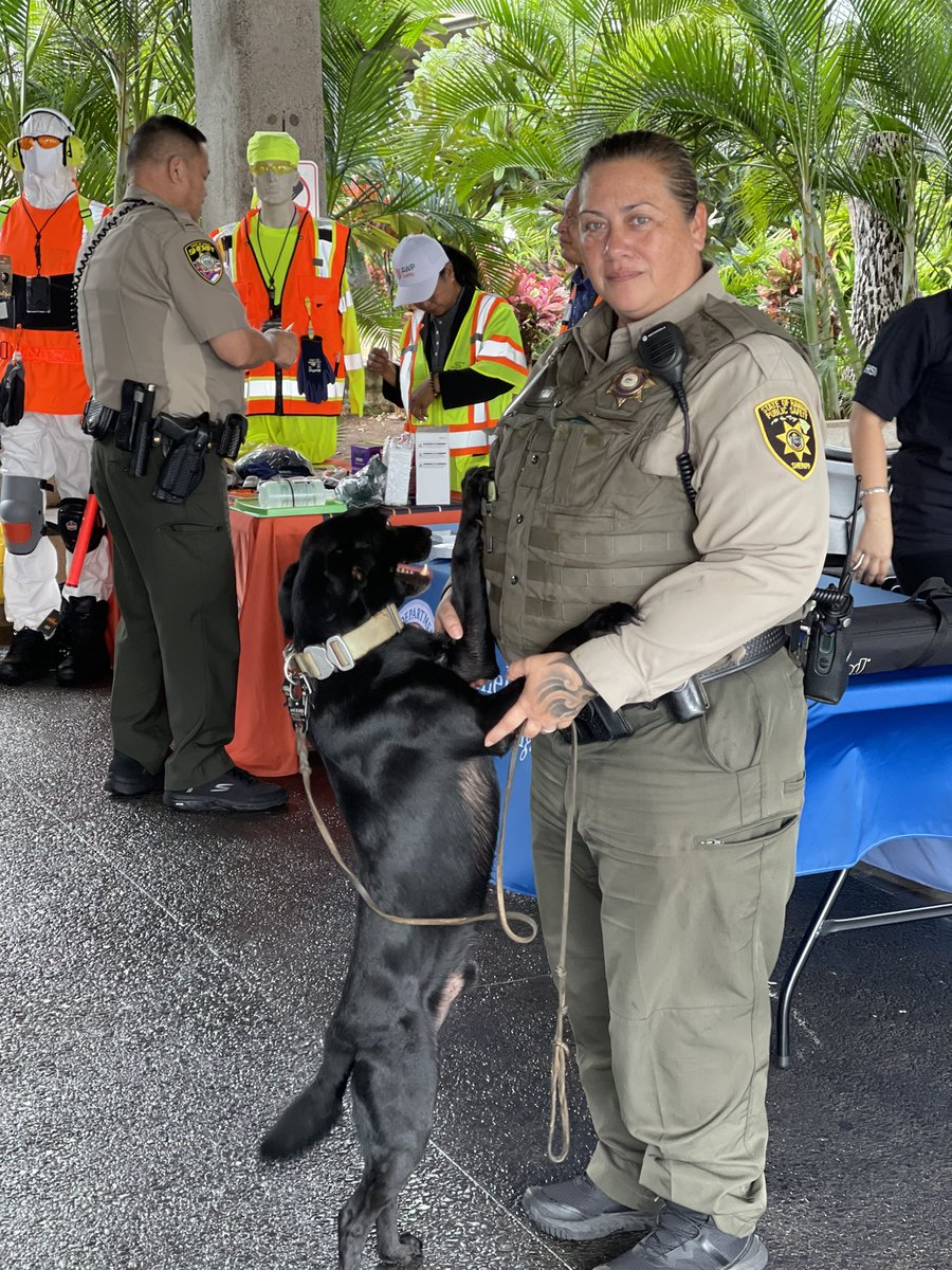 HNLSafetyUAL tweet media