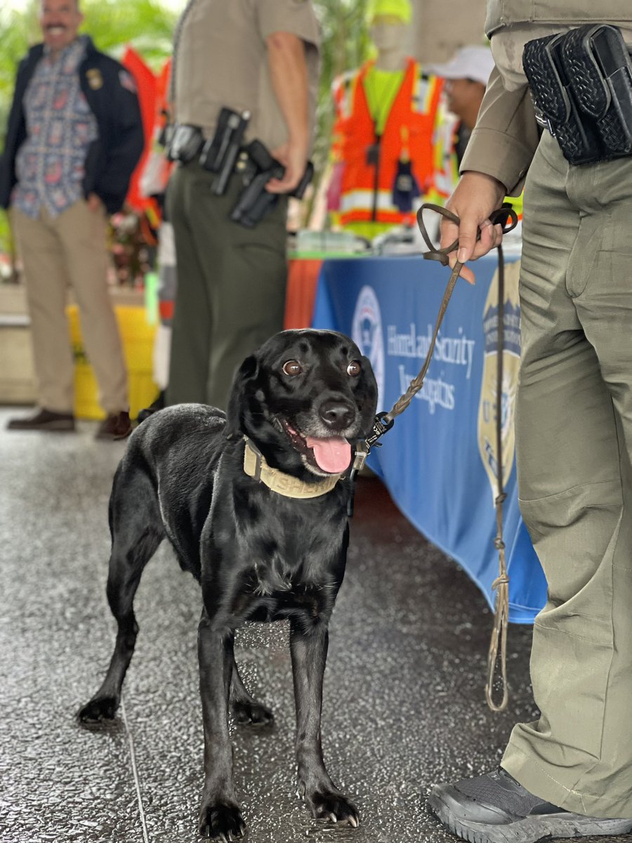 HNLSafetyUAL tweet media