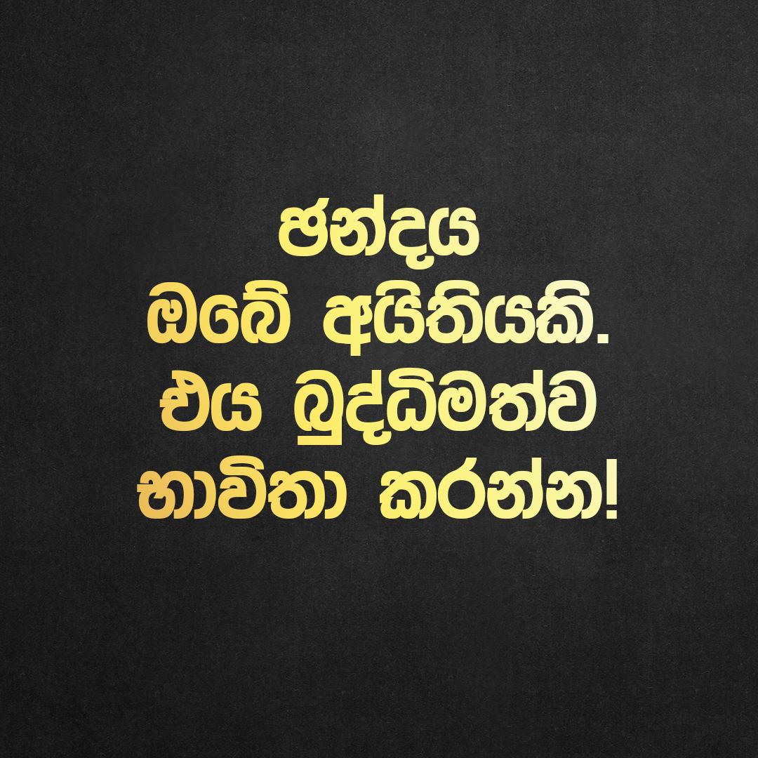 Sagala Ratnayaka (@sagalaratnayaka) on Twitter photo 