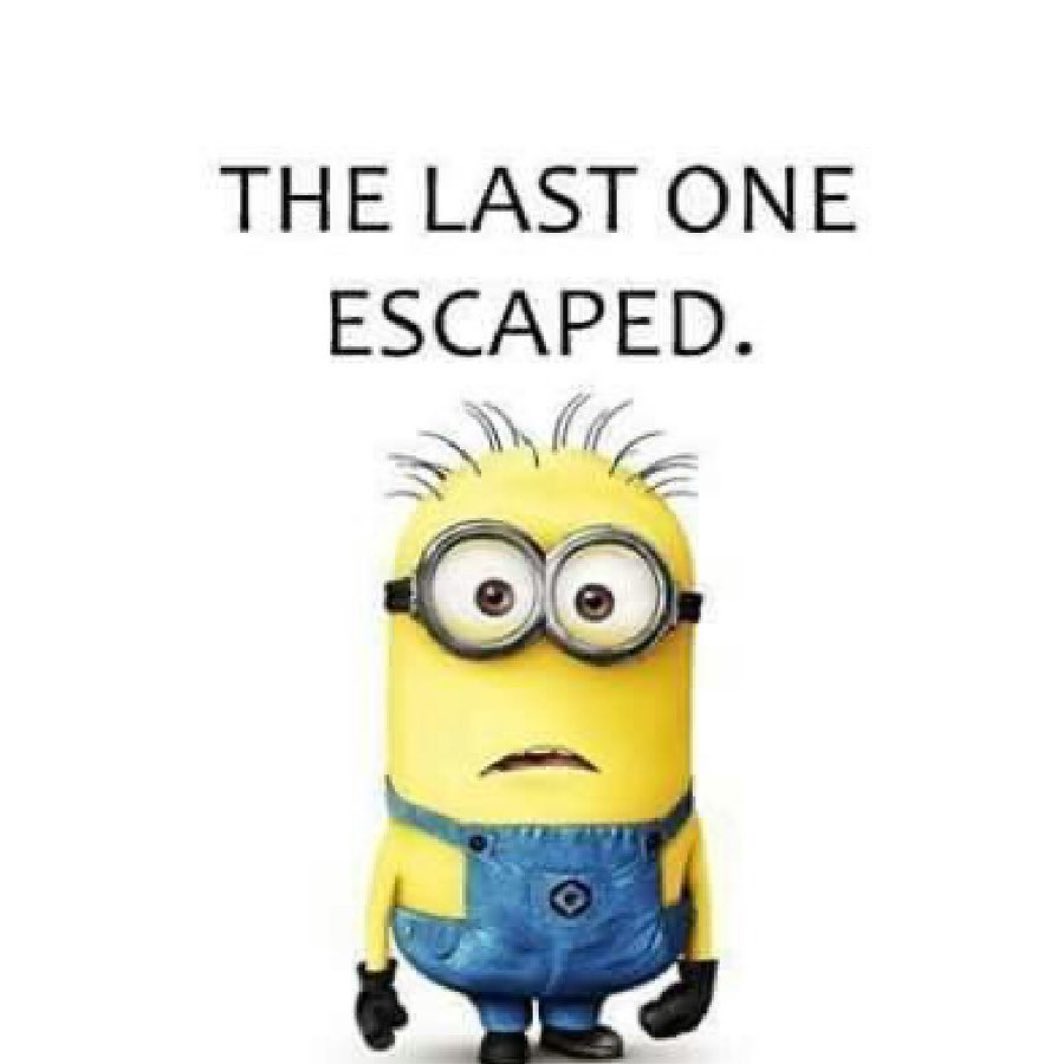 ‍ ‍‍ 𝐓𝙷𝙴 𝐈𝙽𝙳͟𝚄͟𝚂͟𝚃͟𝚁͟𝙸͟𝙰͟𝙻͟𝙸͟𝚂𝚃 . (@dysouristos) on Twitter photo 