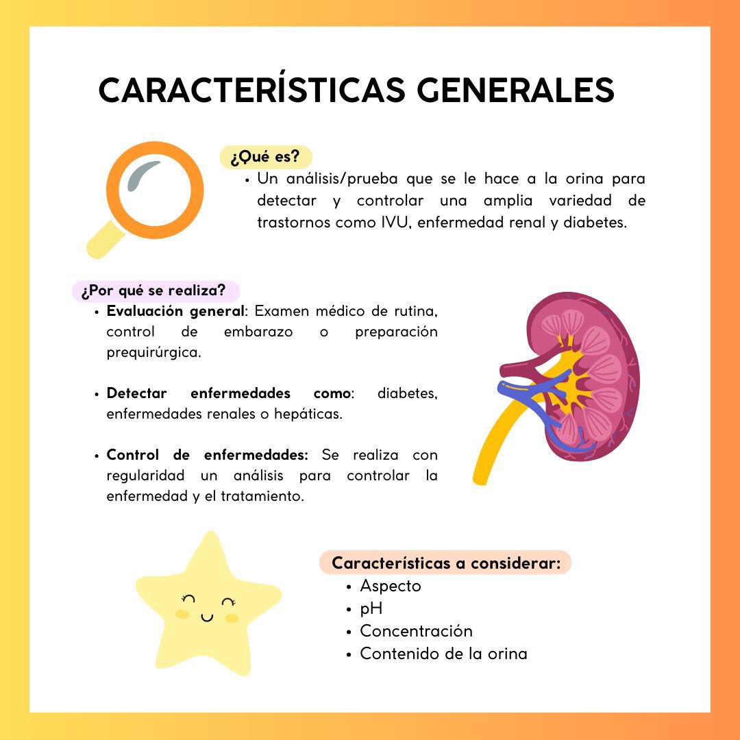 SEN_UNAM's tweet photo. Conocer los parámetros que evalúa el examen general de orina (EGO) es clave para detectar a tiempo posibles problemas de salud.
¡ La prevención comienza con un diagnóstico temprano! #salud #Examendeorina #Prevencion https://t.co/KYmxE7Kvly