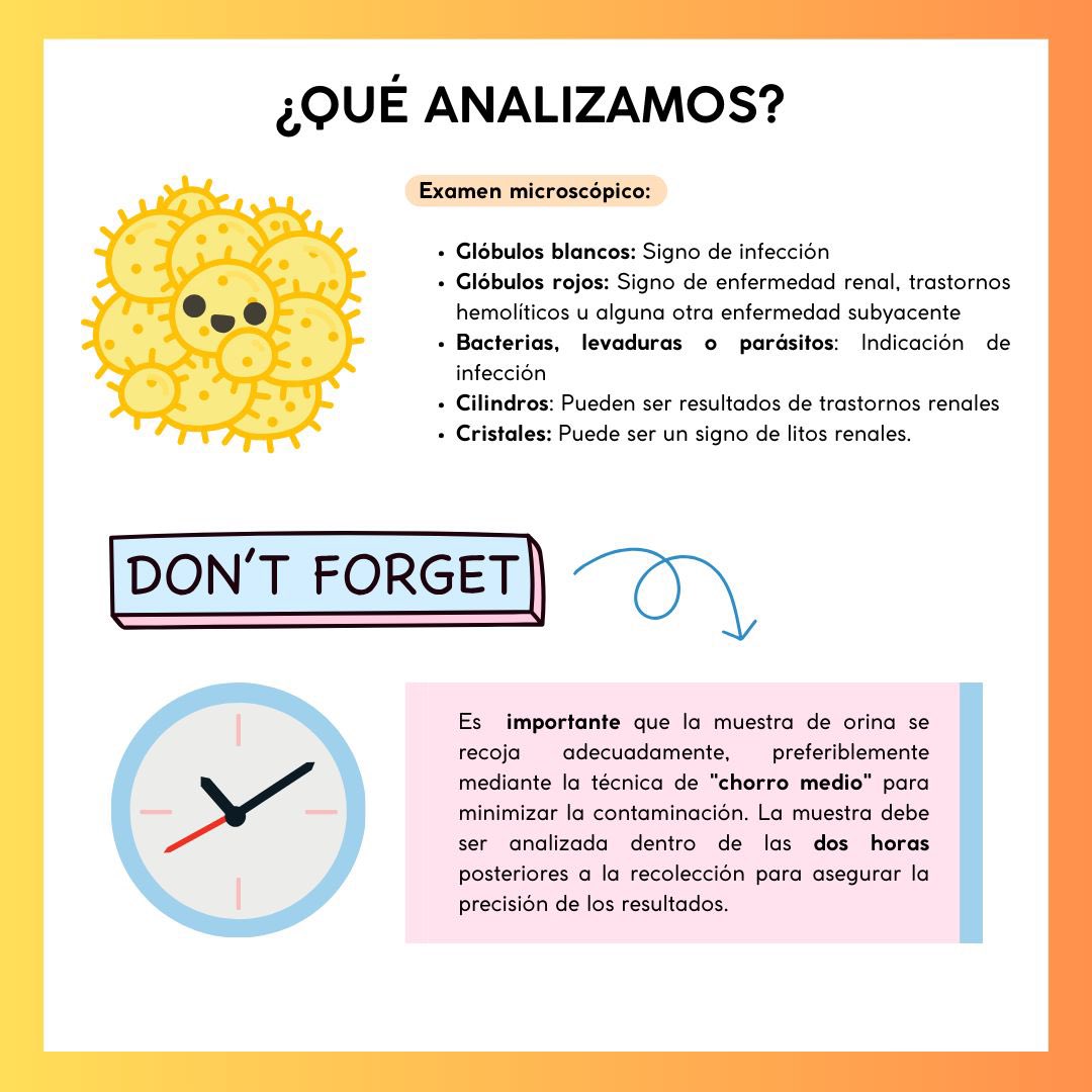 SEN_UNAM's tweet photo. Conocer los parámetros que evalúa el examen general de orina (EGO) es clave para detectar a tiempo posibles problemas de salud.
¡ La prevención comienza con un diagnóstico temprano! #salud #Examendeorina #Prevencion https://t.co/KYmxE7Kvly