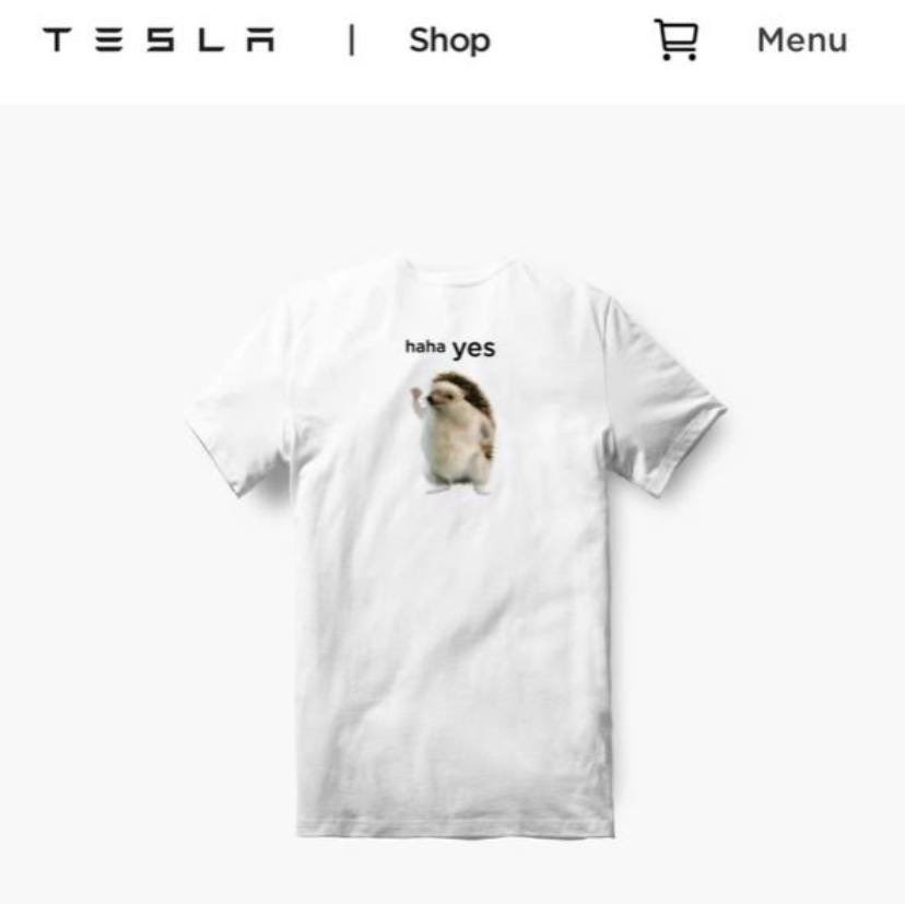 RizoERC20's tweet photo. @EricCryptoman @cousincrypt0 @NormieBase @AardvarkCoin @EricCryptoman do you know we are featured on Tesla merch? $RIZO on TOP https://t.co/FJj6wNknas