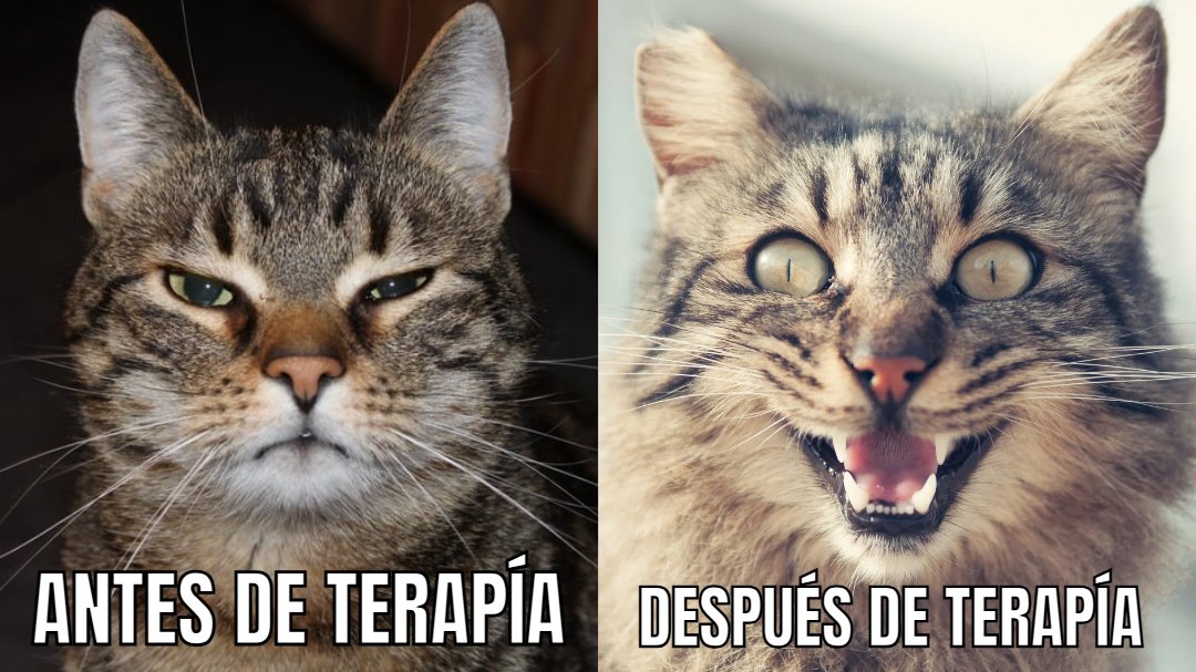 Cahuicac's tweet photo. ¡Consulta tu terapia hoy!😂 https://t.co/7Uw4ZJowfW