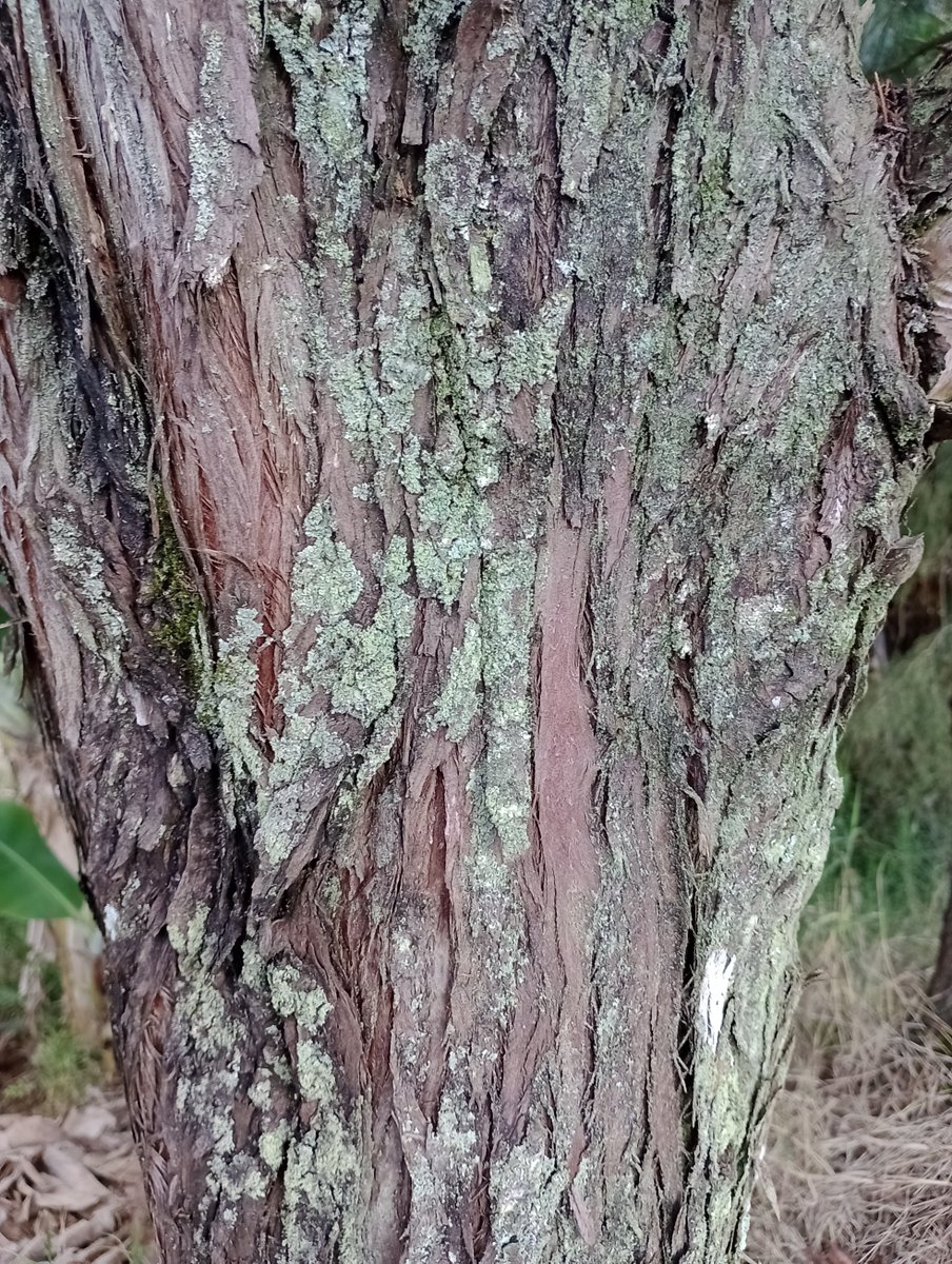 Michael Way tweet media