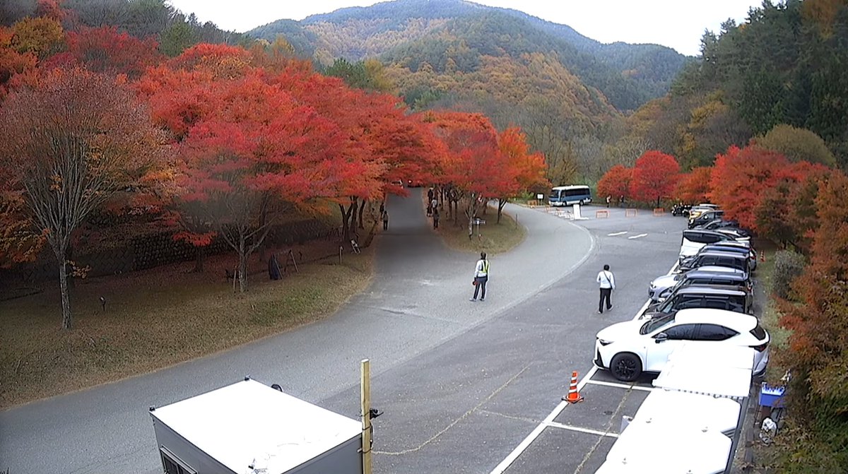 もみじ 湖 ライブ カメラ