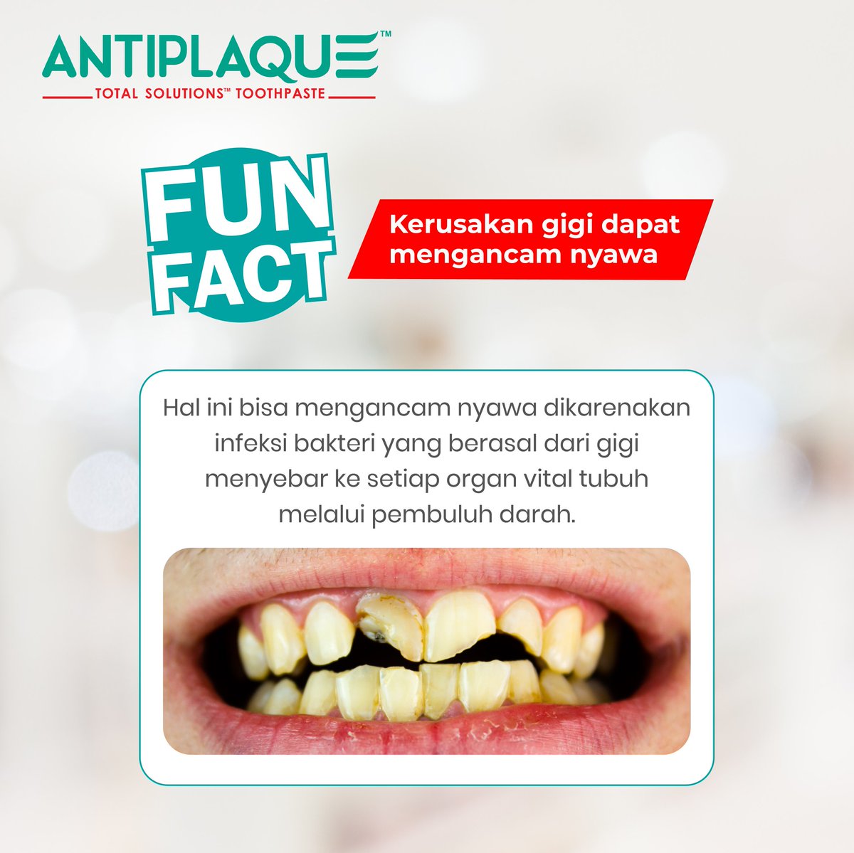 AntiplaqueTST's tweet photo. Ternyata gigi yang rusak dapat membahayakan nyawa kita loh, Sahabat Antiplaque! 😱

Yuk selalu rawat gigimu dengan menggunakan pasta gigi Antiplaque Total Solutions 2x dalam sehari.

Gigi sehat dan selalu #ByeMasalahGigiDanMulut

.

#Antiplaque #AntiplaqueTotalSolutions https://t.co/O8jszyDuA0