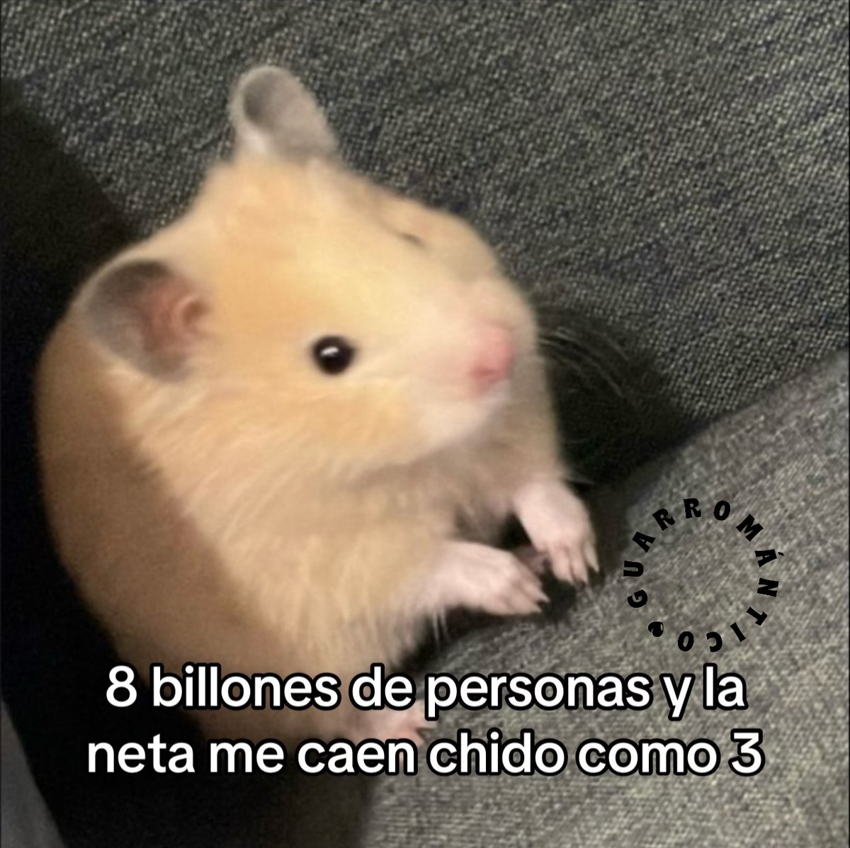 La neta.