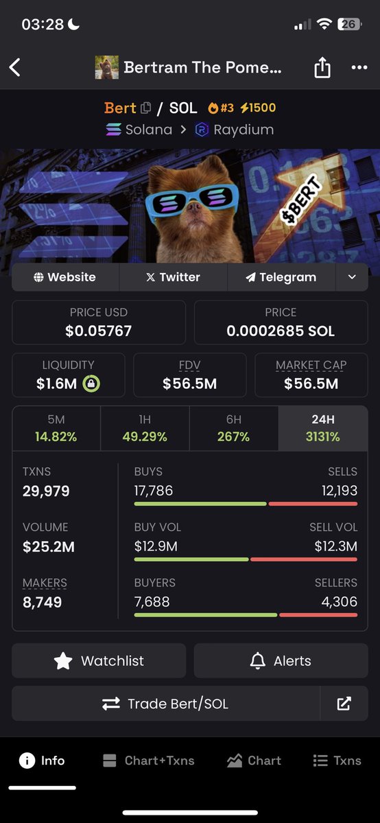 cashbullah's tweet photo. 100m coming real soon for $BERT never seen this tbh https://t.co/aos8rxCm6V