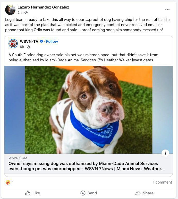 @slingdeez People are finding out about $Odin incredibly sad story. Justice for $ODIN

HAiKxgz5ALNifKj9XhRpmLBffy8hVhz4gEKpBfPupump