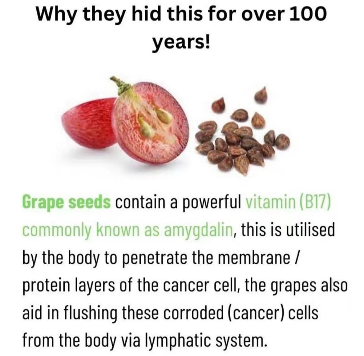 FredsFarm247's tweet image. Here’s why you can’t find seeded grapes👇🏽