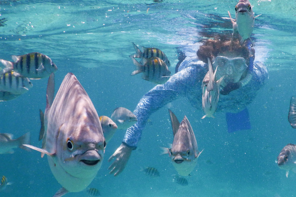 Greetings from the Caribbean coral reefs off the coast of Belize! Could you use an escape right now—one that’s a great value? Here are smart getaway options for late fall. bit.ly/4hIk5qH