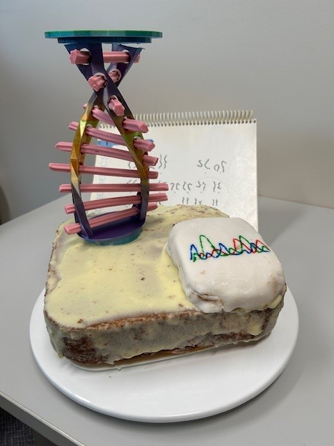 A 3D masterpiece submitted on behalf of the Genetic Counsellors at the Royal Hospital for Women in Randwick. A phenomenal effort!
