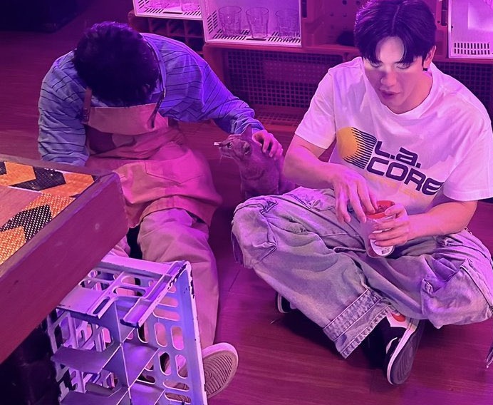 taynewnsan's tweet photo. tay tawan with two cats
#PeacefulPropertySeriesFinalEP https://t.co/DY44n9kieH