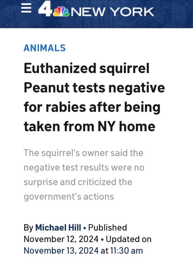 They killed Peanut for nothing.