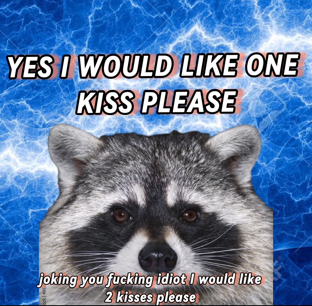 raccoon aesthetic. (@raccoonesthetic) on Twitter photo 