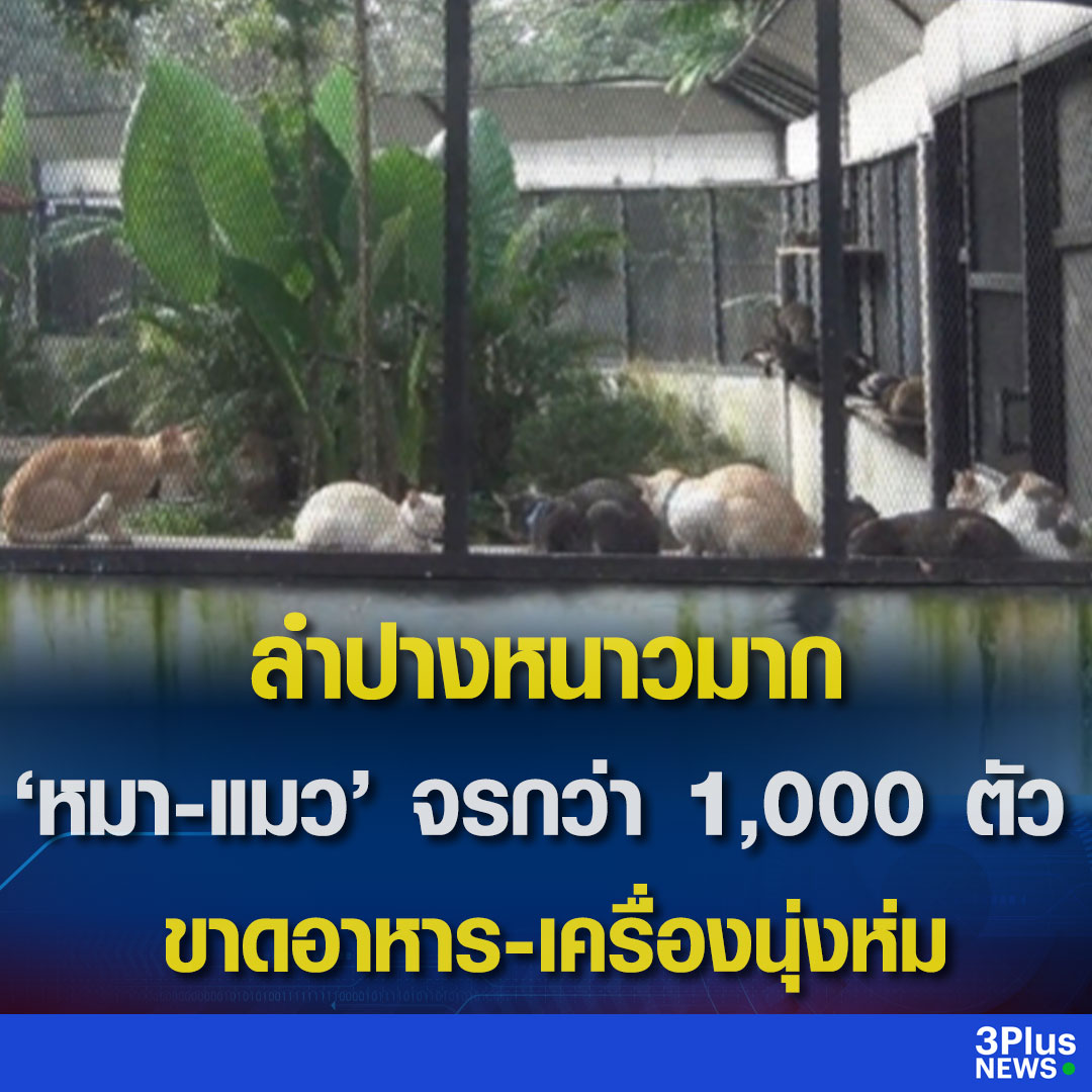 สงสารน้องมาก น้องหมาแมวที่วัดในลำปาง 1,000 ตัว  อากาศหนาวมากกำลังป่วยในตอนนี้  บางตัวกลับดาวแล้ว ขอยากับเครื่องนุ่งห่มให้น้องๆ กันด้วยนะครับ น้องพวกนี้ถูกคนใจร้ายมาทิ้งไว้ที่วัด ขอให้น้องๆ ปลอดภัยนะครับผม!!!!!