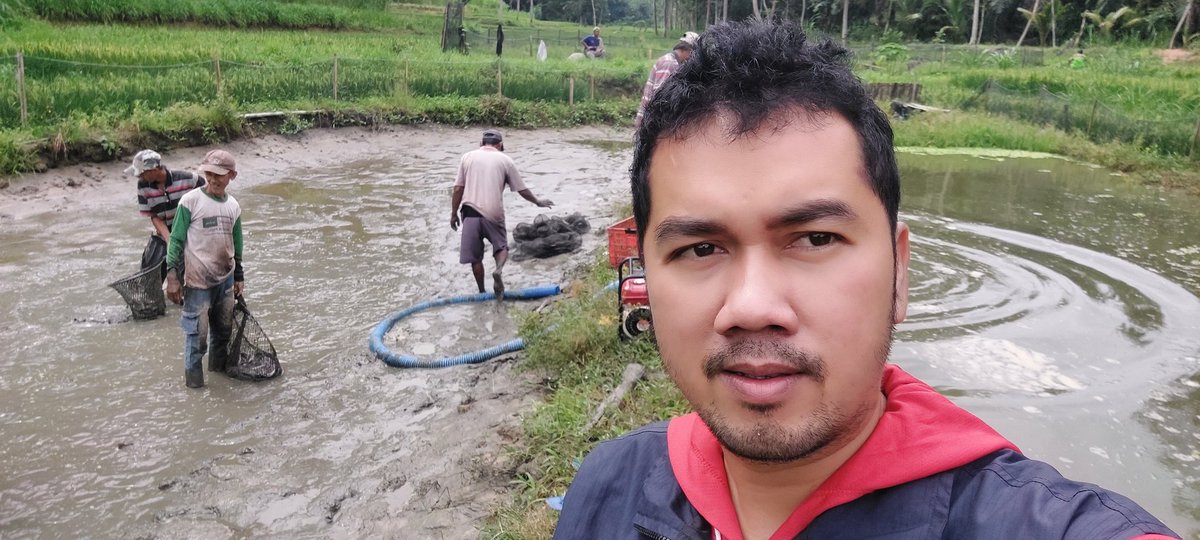 dodirahmad's tweet photo. Senin (11/11/2024), Dodi Rahmad A, S.Pi, Luhkan Kab. Lampung Selatan. Mendampingi Pokdakan Mina Sejahtera di Ds. Sinar Karya Kec. Merbau Mataram, Melakukan Panen Ikan Lele sebanyak 1.125 kg, Uk 10-12 kg harga Rp. 19.000,-/kg
#GiatLuhkanSatminkalBRPPUPP 
#luhlapor 
#panen https://t.co/NGaUuGAYeV