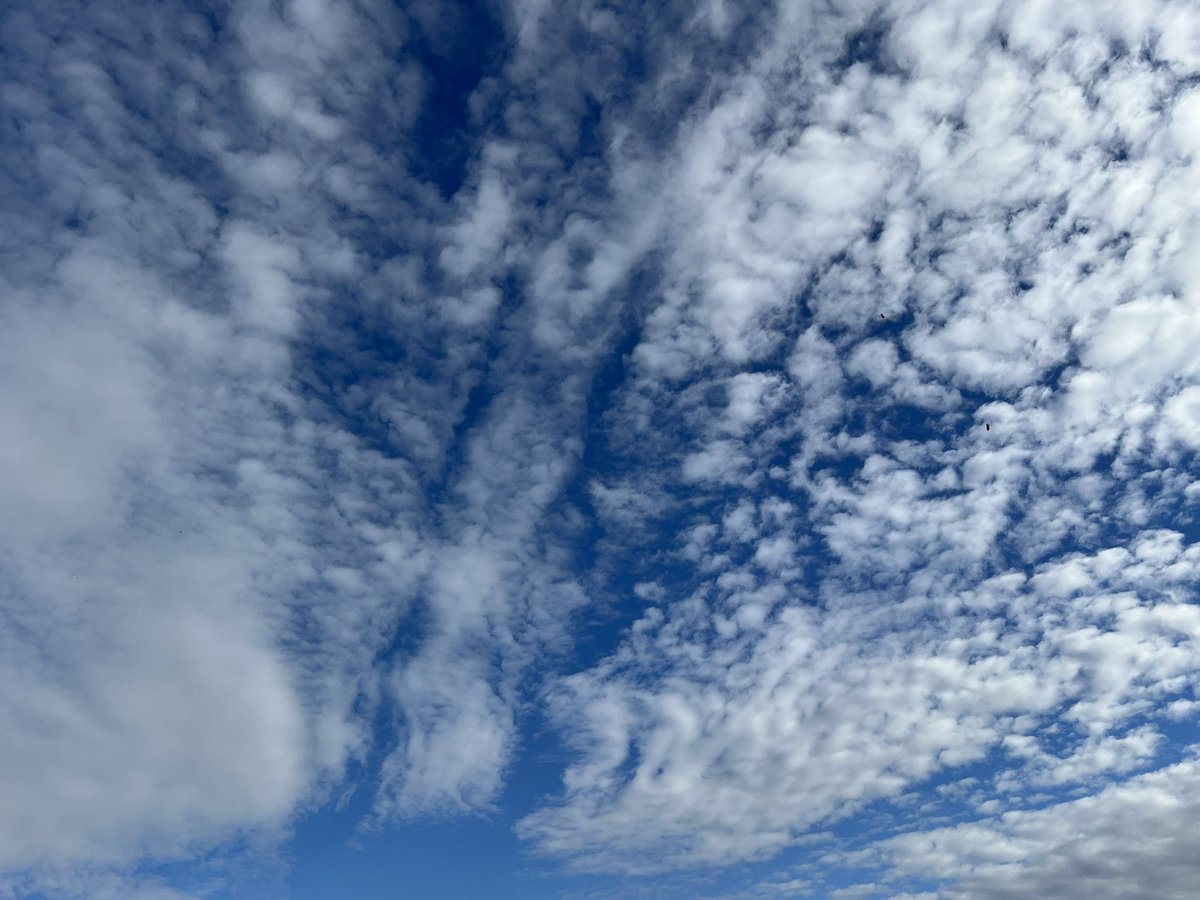 yuuponcho's tweet photo. 今日はX記念日 11年だそうです
最近の空を記念に…

#最近の空 #雲 https://t.co/P6wkMivoWi