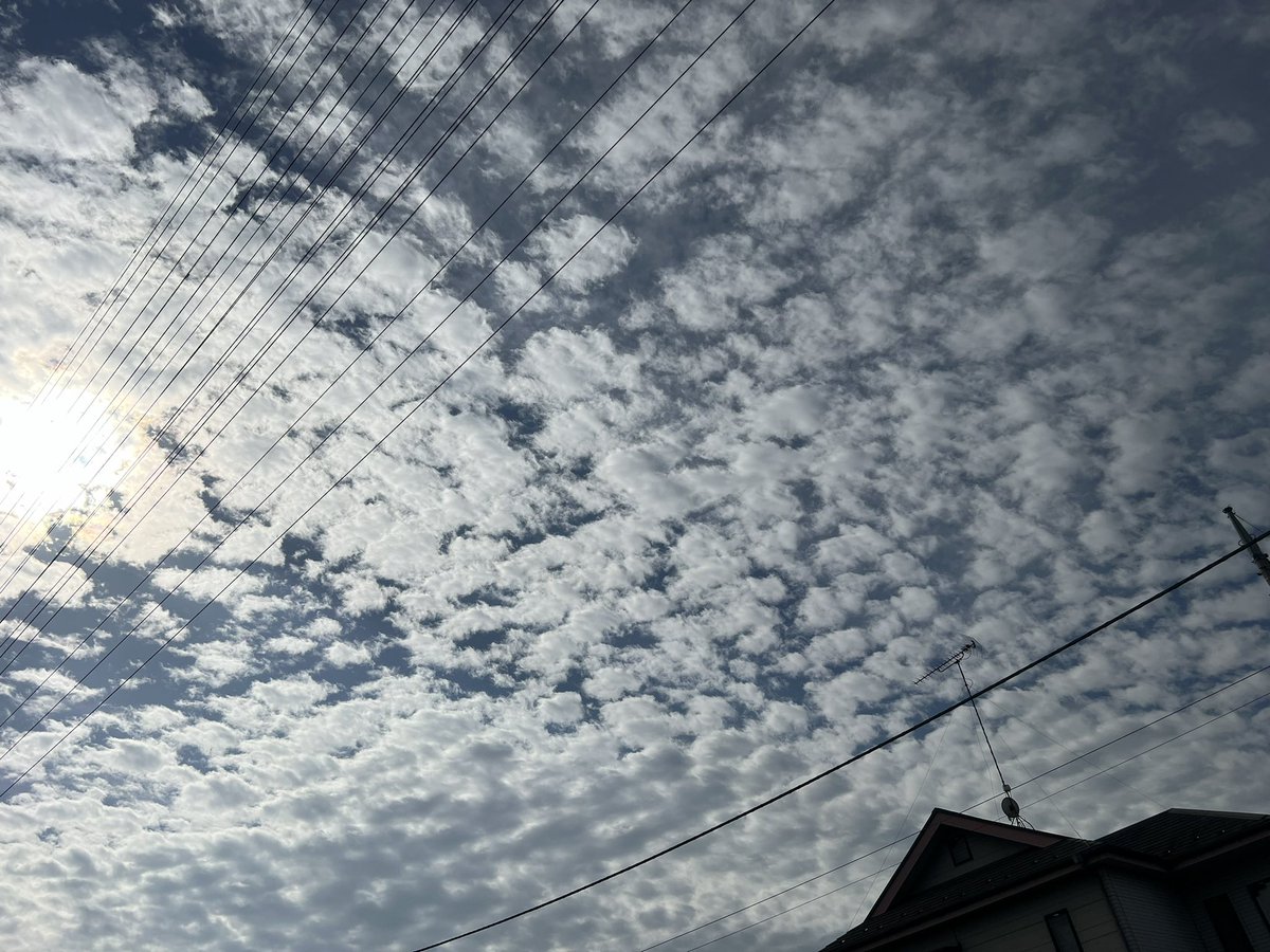 yuuponcho's tweet photo. 今日はX記念日 11年だそうです
最近の空を記念に…

#最近の空 #雲 https://t.co/P6wkMivoWi