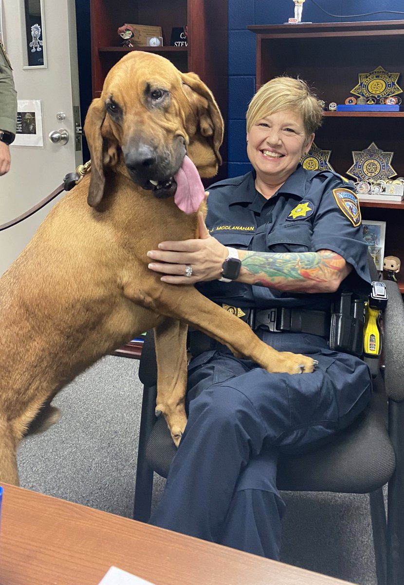 HCSOJail tweet media