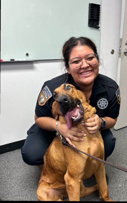 HCSOJail tweet media