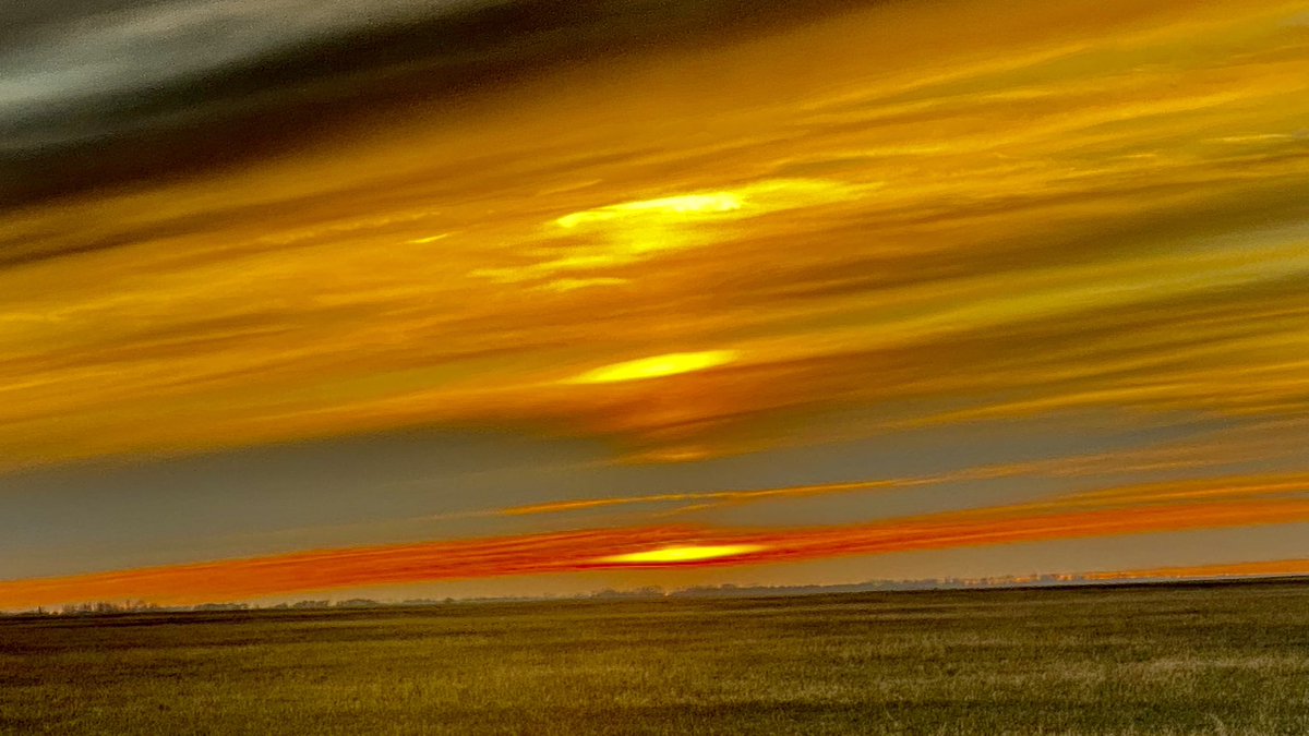 Meet the humble healer of humans #Sunset #yogichef