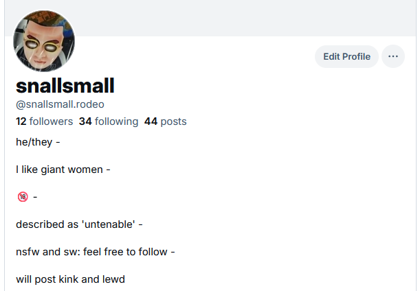 snallsmall's tweet photo. on the other site you can make your handle any domain name you own btw https://t.co/U0dpDS8Lqf