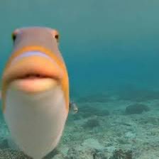 OmyChan 🔞 tweet media