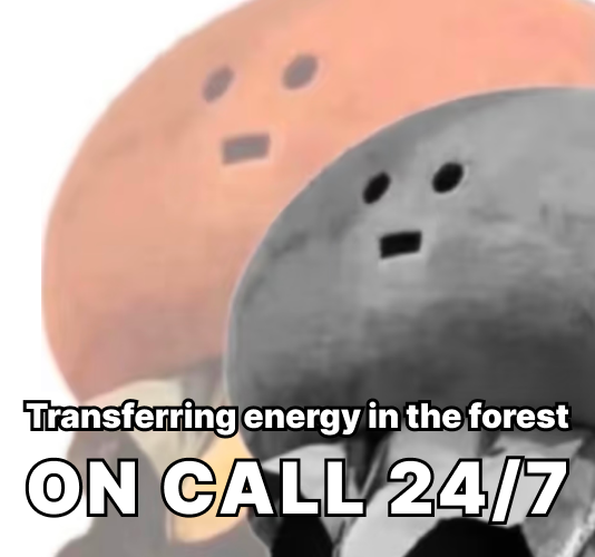 reality design lab tweet media