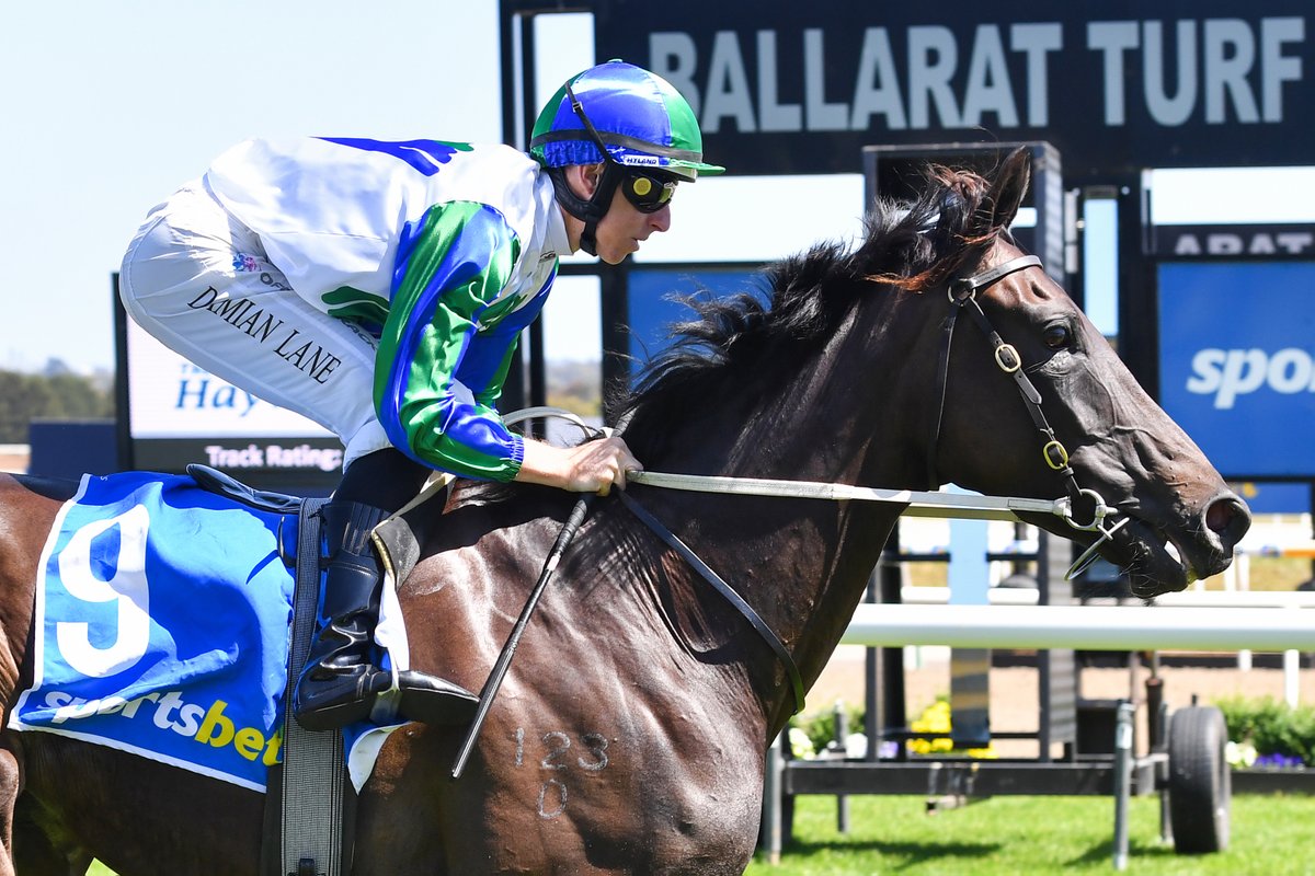 RacingVictoria's tweet photo. The sixth and seventh heats of the #EmergingStars series have been run and won!

🐴 Somewhere (@archi3alexander)
🐴 Dream All Day (@MickPriceRacing)

Congratulations, connections! 💰

The series moves across to Geelong on Sunday! https://t.co/SGH5M1d3Bz