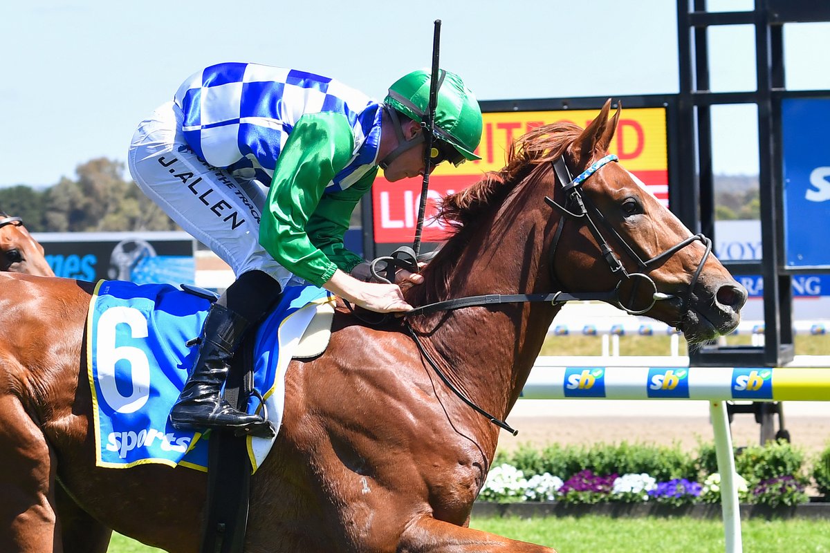 RacingVictoria's tweet photo. The sixth and seventh heats of the #EmergingStars series have been run and won!

🐴 Somewhere (@archi3alexander)
🐴 Dream All Day (@MickPriceRacing)

Congratulations, connections! 💰

The series moves across to Geelong on Sunday! https://t.co/SGH5M1d3Bz