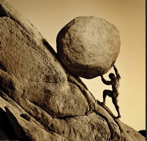 NoTrueLeftist tweet media