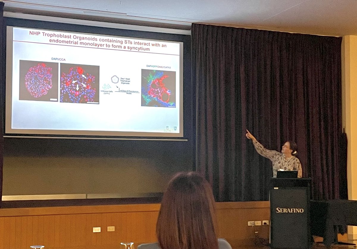 Adelaide Centre for Epigenetics (@acepigenetics) on Twitter photo Polo Lab members <a href="/Elly_Walters_/">Elly Walters</a> <a href="/m_mohenska/">Monika Mohenska</a> & <a href="/Atzin_Mora/">Germán Atzin Mora</a> take on #ANZPRA2024 this week at <a href="/SerafinoVino/">Serafino Wines</a> ⛲️
Elly has also done a fantastic job presenting her work on the generation of non-human primate placenta models! <a href="/ANZPRA1/">ANZPRA</a> <a href="/SAiGENCI/">South Australian immunoGENomics Cancer Institute</a> <a href="/MonashUni/">Monash University</a> Polo Lab members <a href="/Elly_Walters_/">Elly Walters</a> <a href="/m_mohenska/">Monika Mohenska</a> & <a href="/Atzin_Mora/">Germán Atzin Mora</a> take on #ANZPRA2024 this week at <a href="/SerafinoVino/">Serafino Wines</a> ⛲️
Elly has also done a fantastic job presenting her work on the generation of non-human primate placenta models! <a href="/ANZPRA1/">ANZPRA</a> <a href="/SAiGENCI/">South Australian immunoGENomics Cancer Institute</a> <a href="/MonashUni/">Monash University</a>