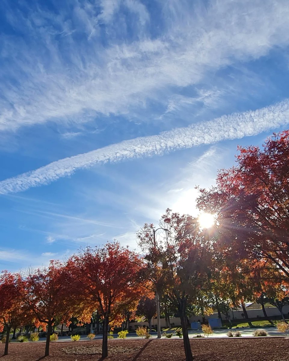 runhikecyclesf's tweet photo. Autumn vibes🍁🍂😎  for a morning run! 🏃‍♀️🍁🍂
#autumn #autumnvibes #fallcolors #seasons #sunshine #blueskies #Henderson #GreenValleyRanch #LasVegas #NVWx @RobMayeda @TerryMcSweeney @danncianca @JeffRanieri @SamArgier @ChloeKoast @BillBellis @NWSVegas https://t.co/9WbjfmR6YF