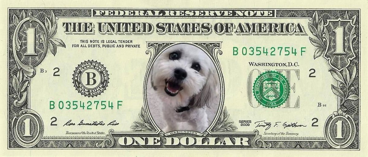 Let’s send $TEDDY to $1 per token, in honor of seeking #JusticeForTeddy 🤍🙏