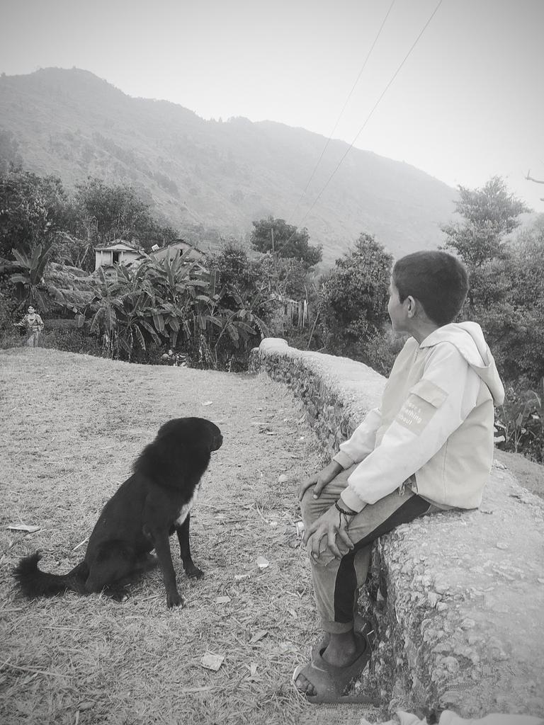 A serene and timeless connection between the boy and his dog, set against a backdrop of tranquil hills. It conveys a sense of simplicity, companionship, and harmony with nature, reflecting a moment of quiet reflection and mutual understanding.!