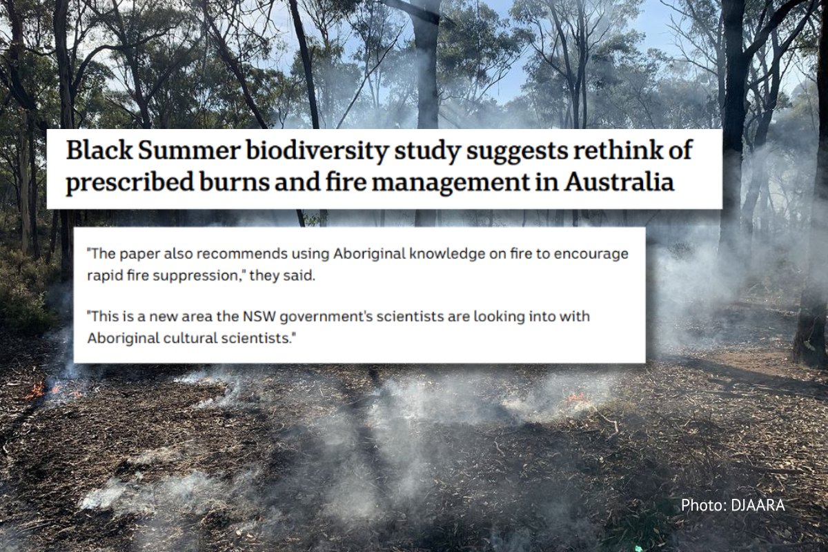 New research into the Black Summer bushfires recommends using Traditional Owners' cultural fire expertise and knowledge to reduce the severity of bushfires’ impact on biodiversity.

 bit.ly/40LEwgb