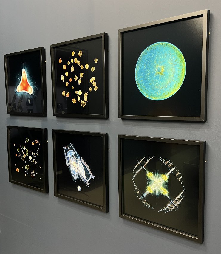 ChristianSardet tweet media