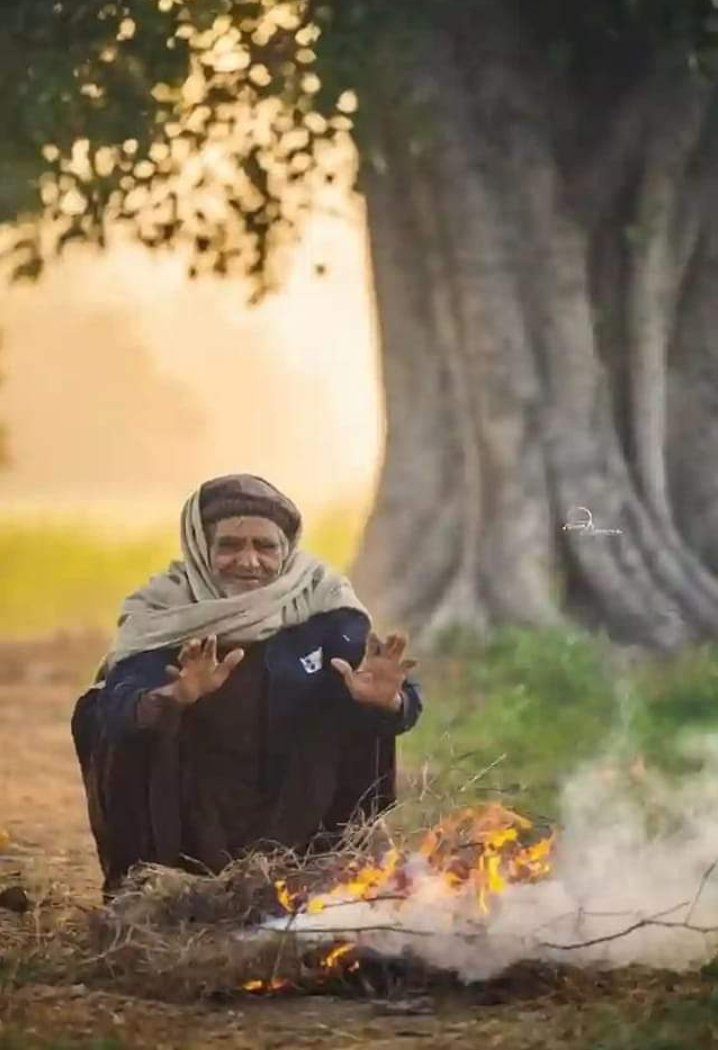 Madiha kazmi tweet media