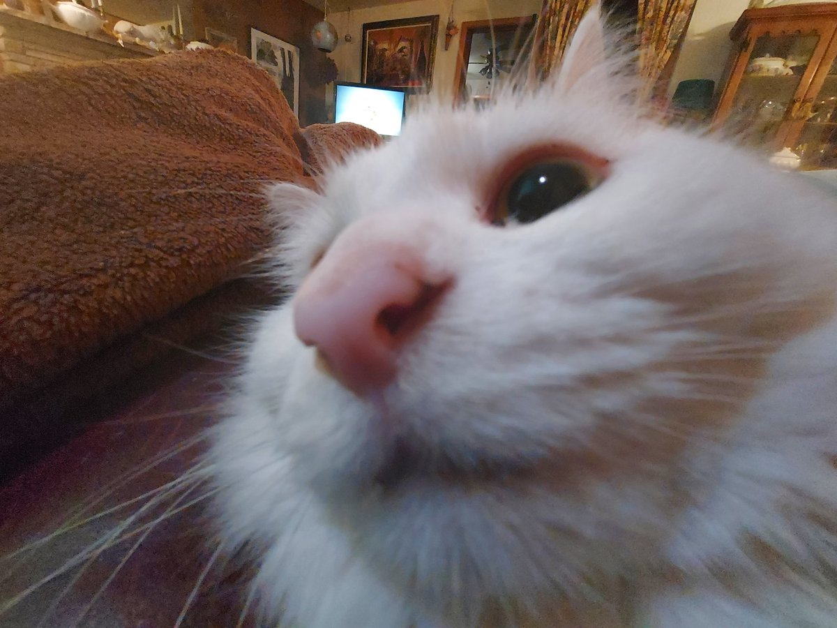 I DONOT GIVE FACEBOOK PERMISSION TO PRINT ANYTHING OFF MINE COMPUTER