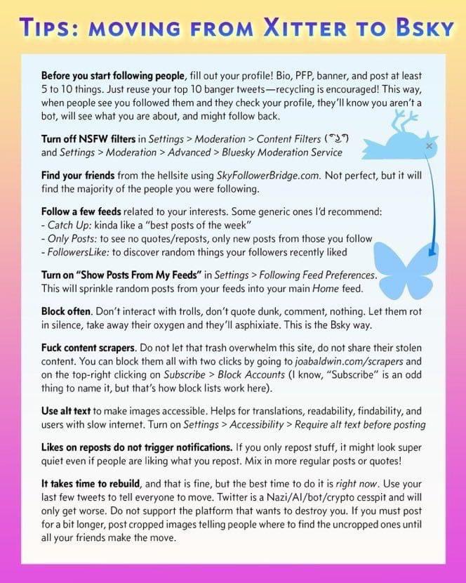 wildiris (@wildiris2021) on Twitter photo 