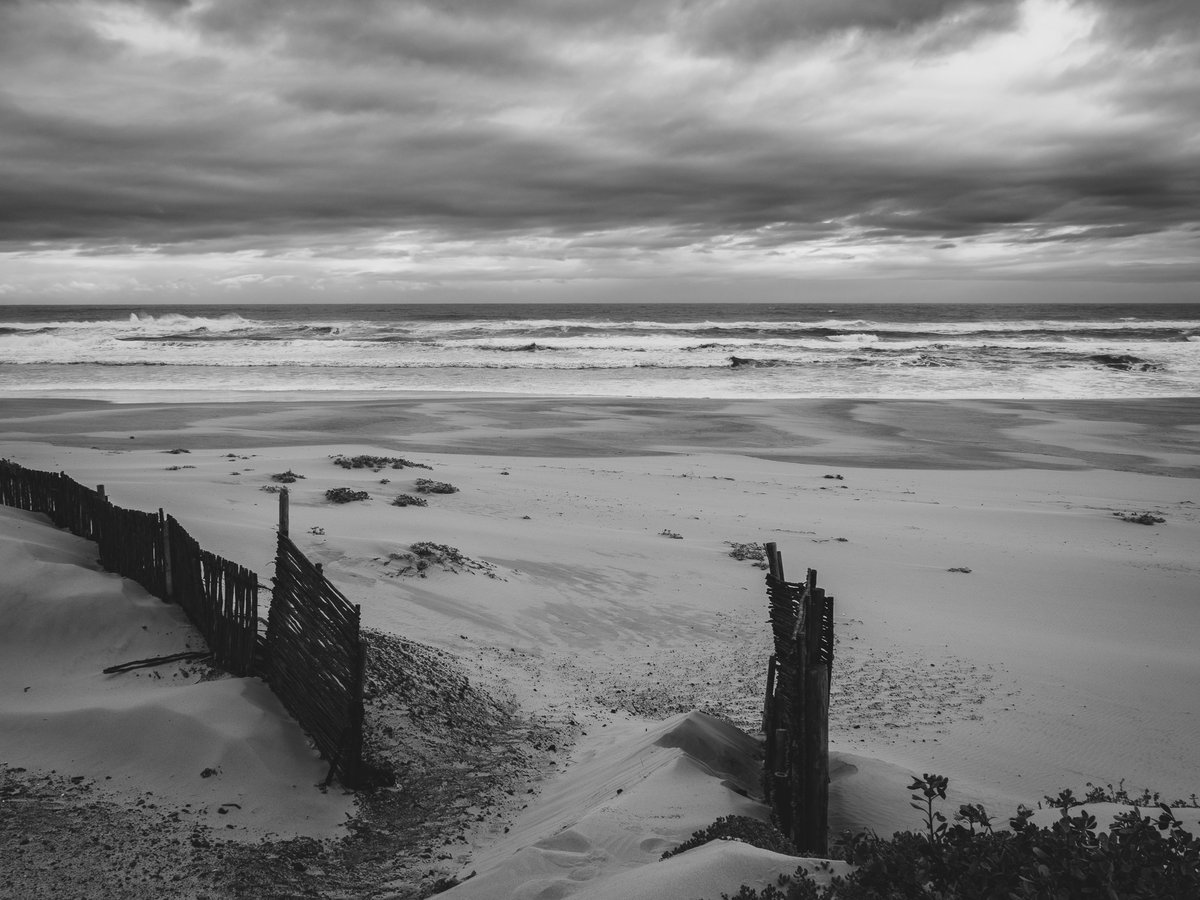 NomadsNature's tweet photo. Jeffreys Bay 2023: Photo Highlights - Part 4

Sunshine Coast is an apt description of a coastal belt beset with countless little villages, each offering access to beaches, rivers, lagoons and hiking trails that stretch between the Tsitsikamma and East London in the Eastern Cape. https://t.co/lOTn7yzrBd